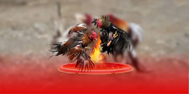 Nuôi Gà Đá Làm Giàu – Bí Quyết Kiếm Tiền Tỷ Từ Thần Kê Jun88 2025